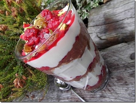 Vegan Chocolate Raspberry Overnight Oats Parfait (4)