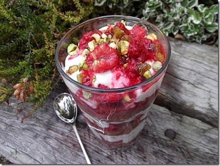 Vegan Chocolate Raspberry Overnight Oats Parfait (7)