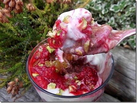 Vegan Overnight Oat Chocolate and Raspberry Parfait (3)