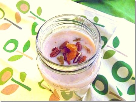 Apple Pie Smoothie (14)