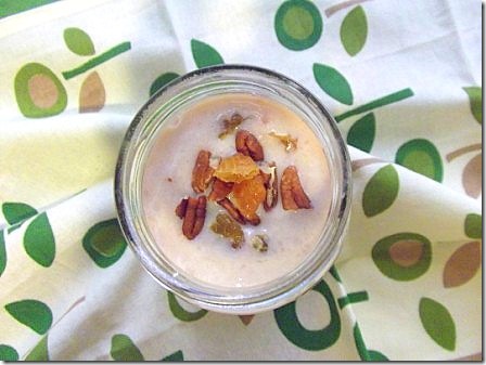 Apple Pie Smoothie (3)